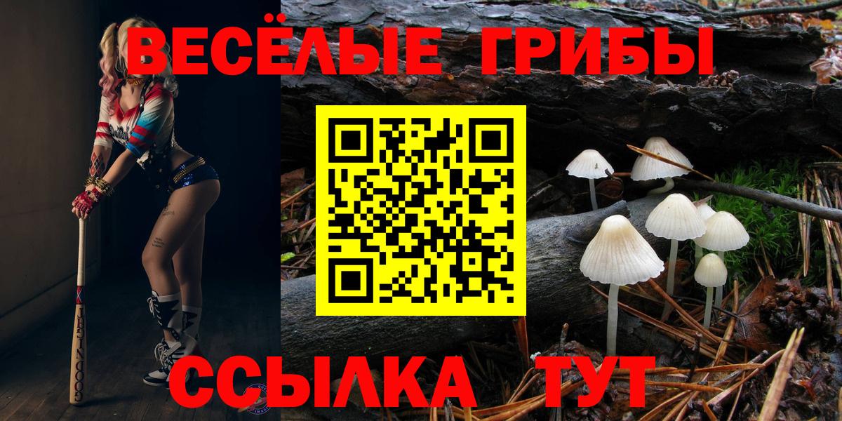 Галлюциногенные грибы прущие грибы  Галлюциногенные грибы GOLDEN TEACHER  Карачаевск  Вход с VPN 